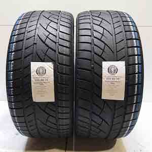 EVERGREEN WINTER EW66 255/40R19