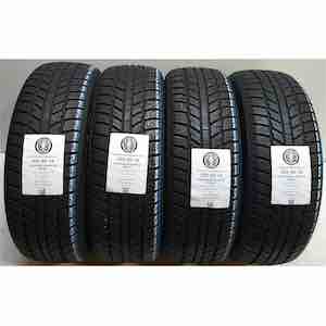EVERGREEN WINTER EW62 205/60R16