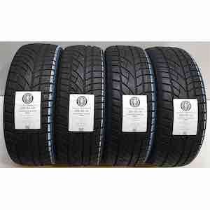 EVERGREEN WINTER EW66 205/55R16