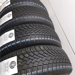 BRIDGESTONE BLIZZAK LM005 205/60R18