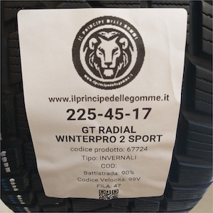 GT RADIAL WINTERPRO 2 SPORT 225/45R17