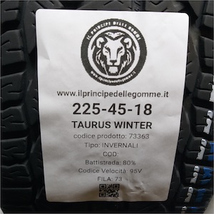 TAURUS WINTER 225/45R18
